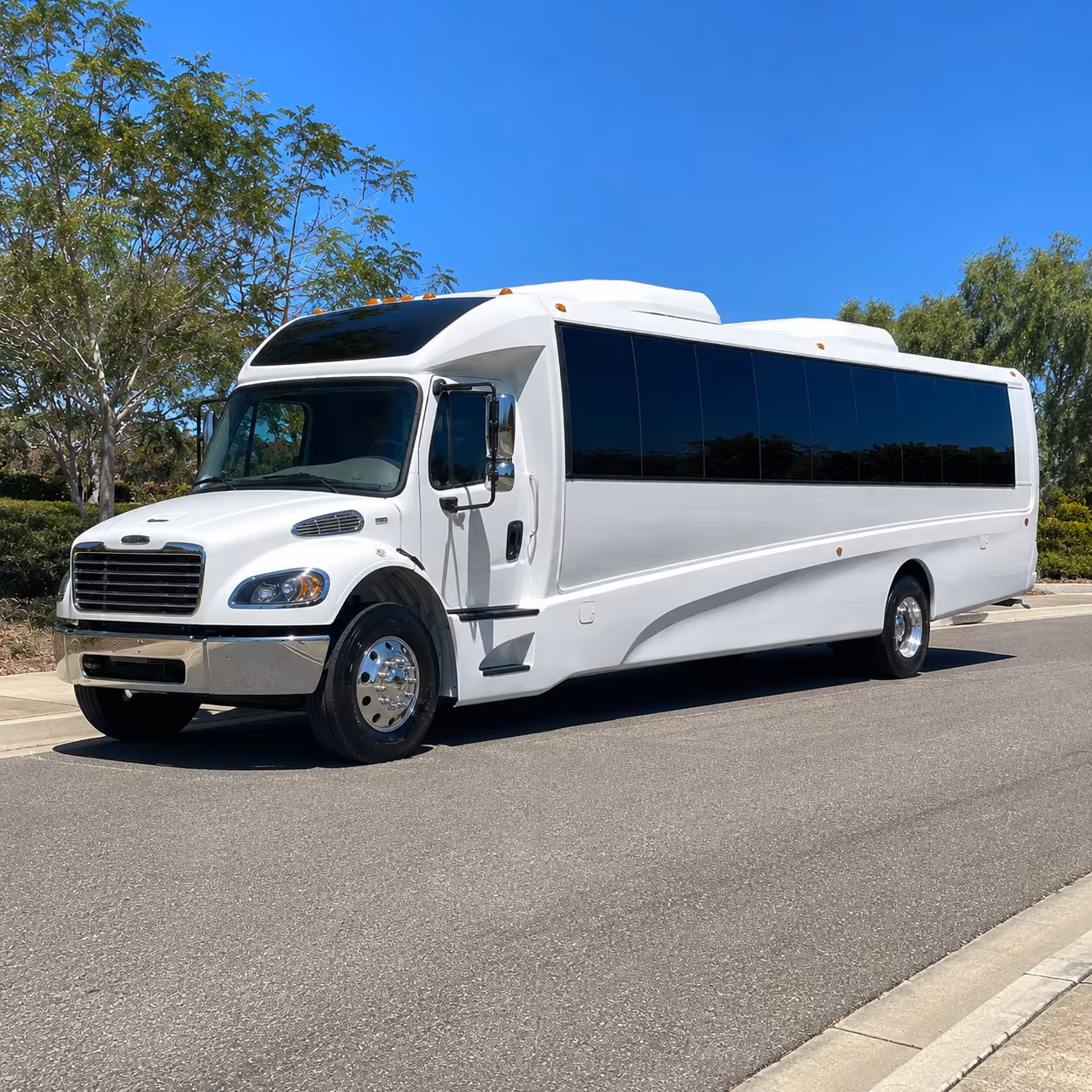 pleasanton 15 passenger minibus