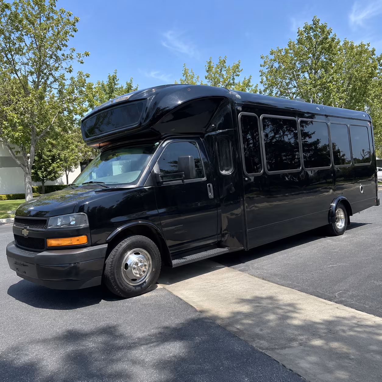 pleasanton 15 passenger party bus