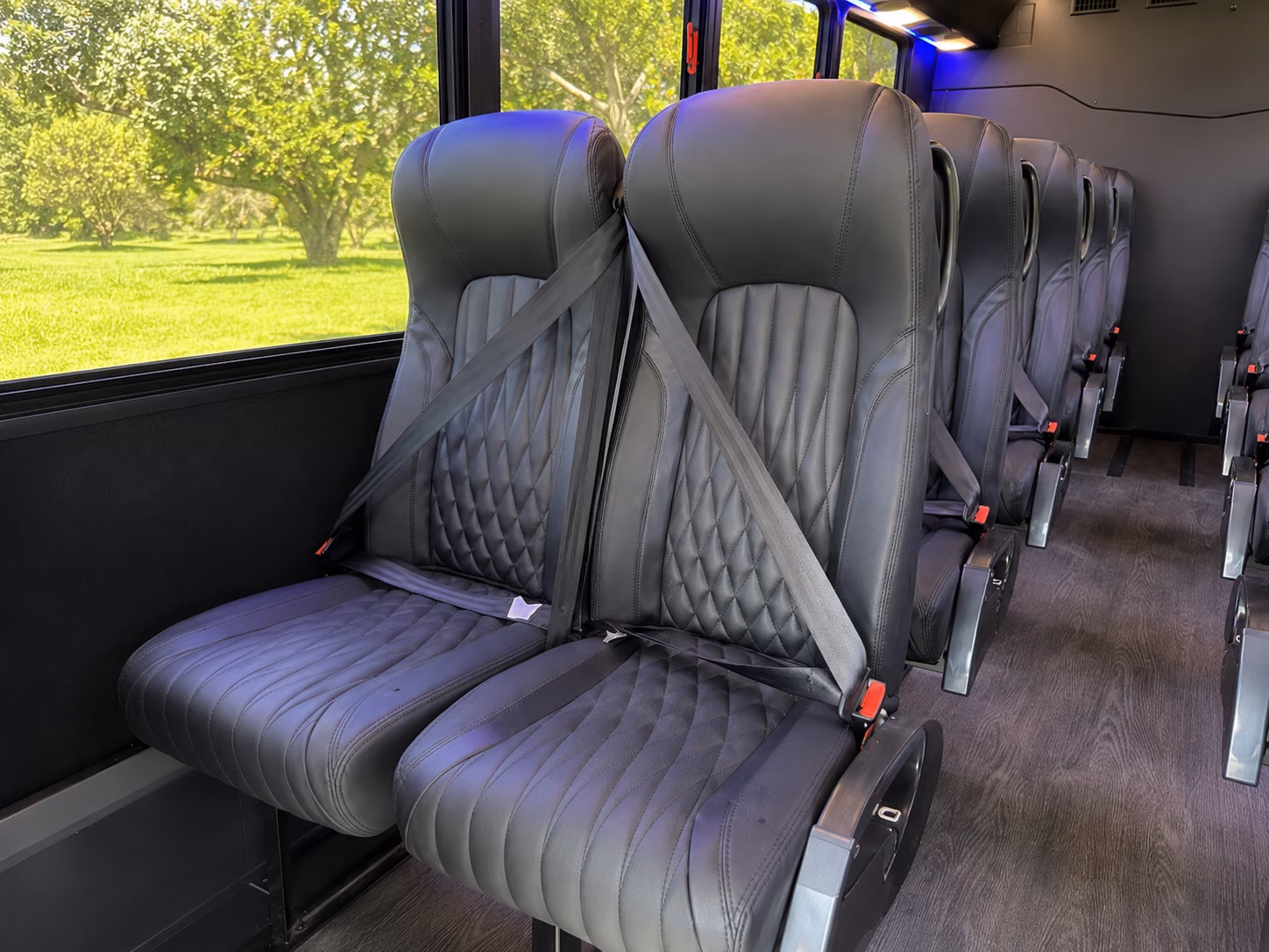 pleasanton 18 passenger minibus interior