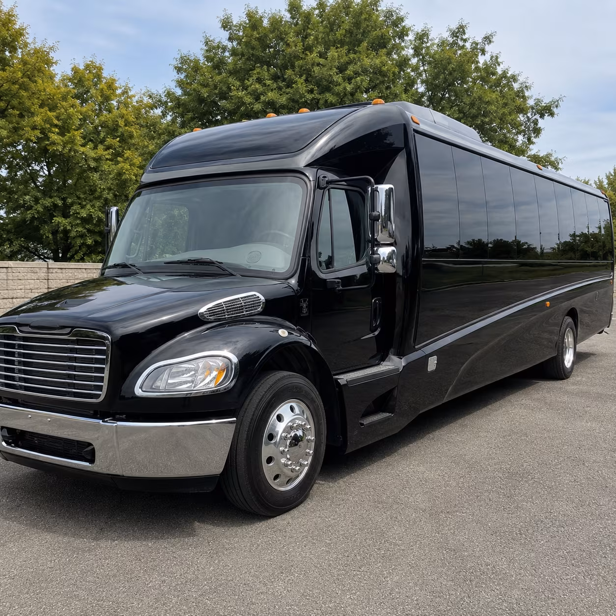 pleasanton 28 passenger minibus