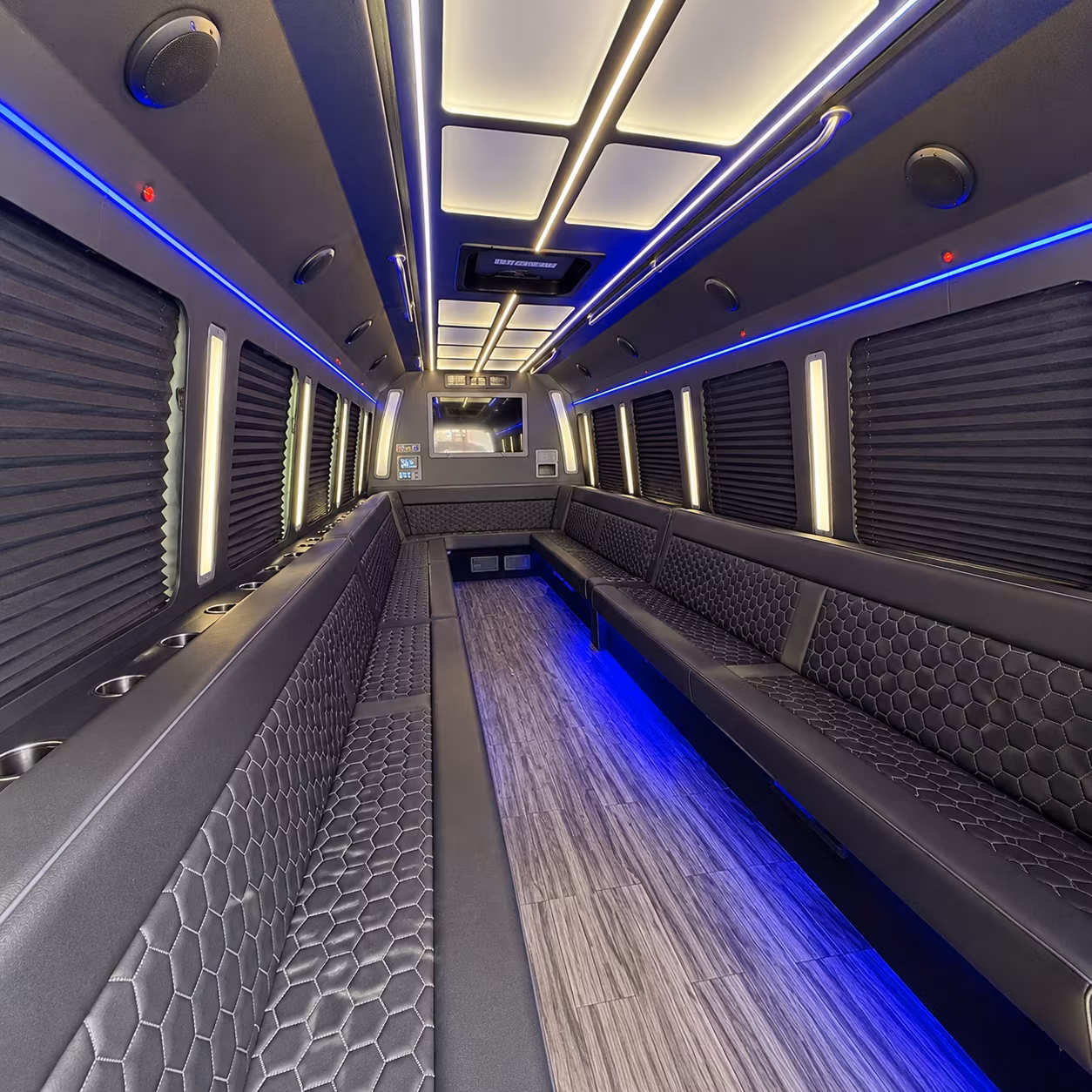pleasanton 30 passenger party bus interior