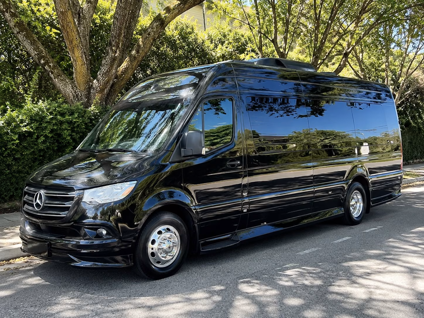 pleasanton event transportation
