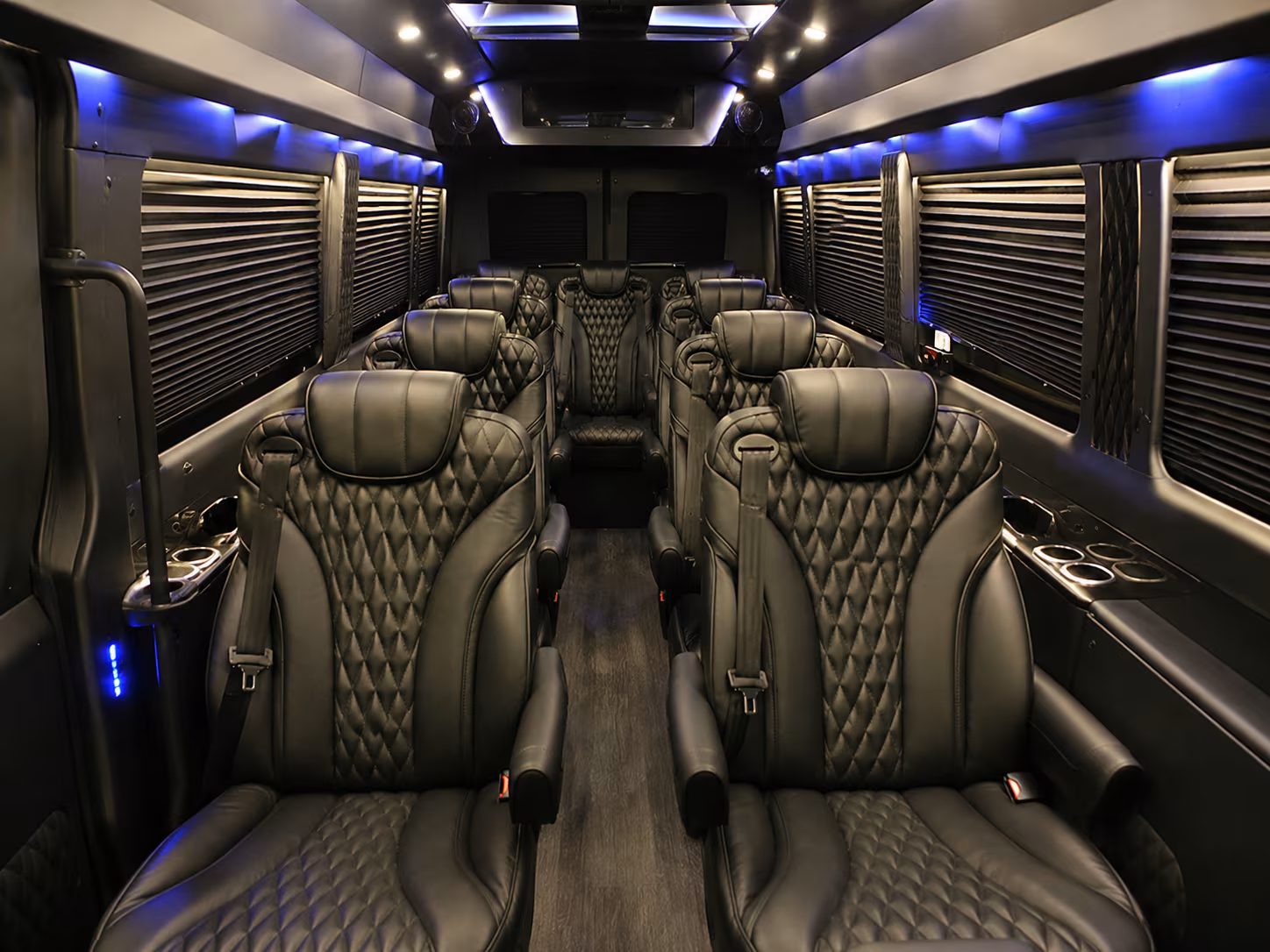 pleasanton sprinter van with driver inside